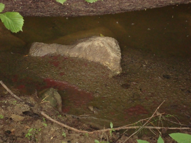 Животновъд заливал река в Монтана с тор от фермата си