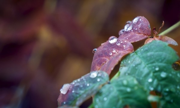 Атмосферното налягане ще е близко да средното за август Днес