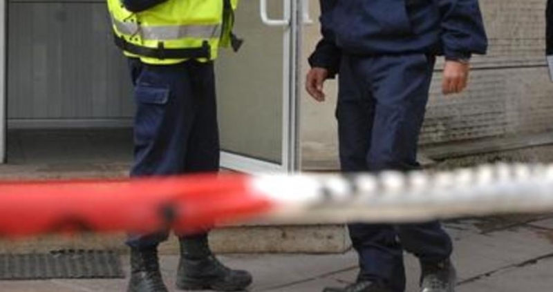 Тежко въоръжени бандити нападнаха инкасо автомобил пред Кауфланд в Плевен