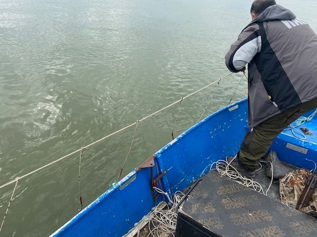 Акция срещу незакония улов на есетрови риби са провели служителите