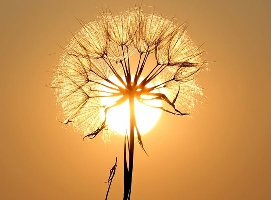 Днес ще бъде слънчево Ще духа слаб в Дунавската равнина