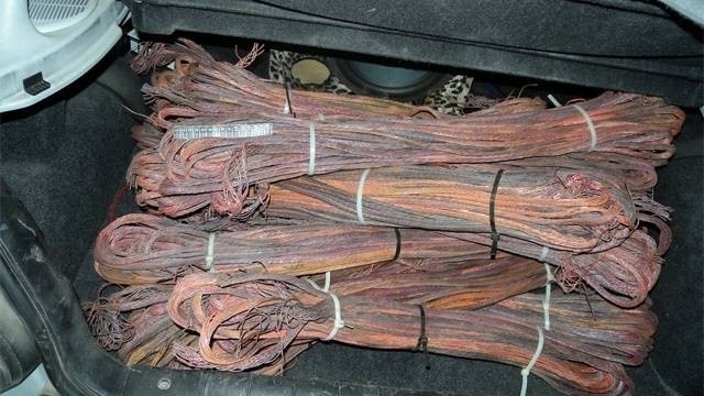 Заловиха апаш да краде медни кабели в Монтана съобщиха от