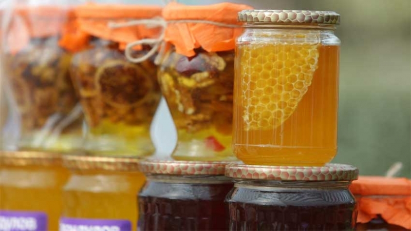 Десетото юбилейно издание на Празника на меда в Козлодуй ще