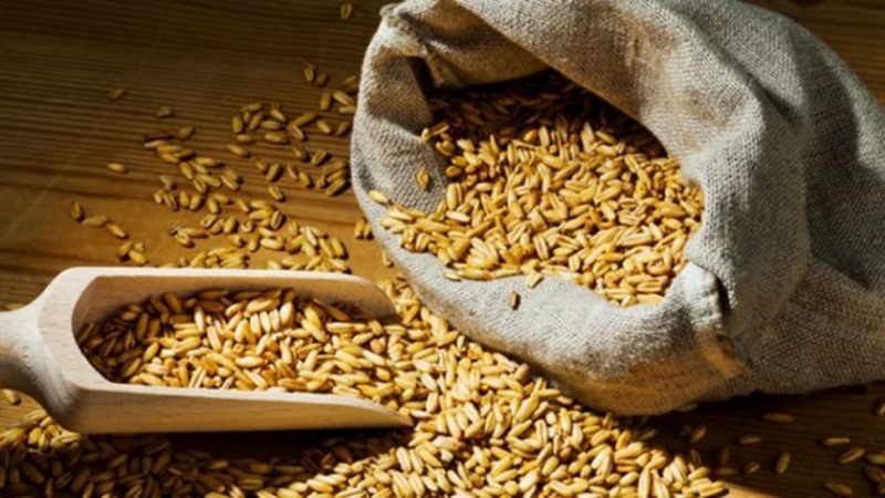 Русия въведе от тази нощ ограничения за износ на зърнени