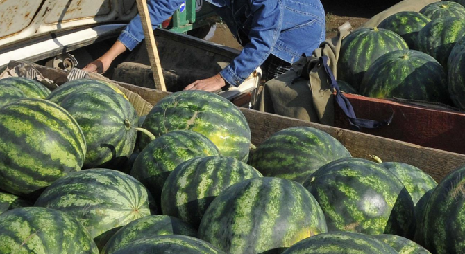 65 годишен мъж от гр Гълъбово е задържан в РУ Харманли