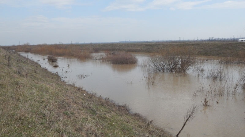 Леко покачване има на нивото на реките Делейнска при село