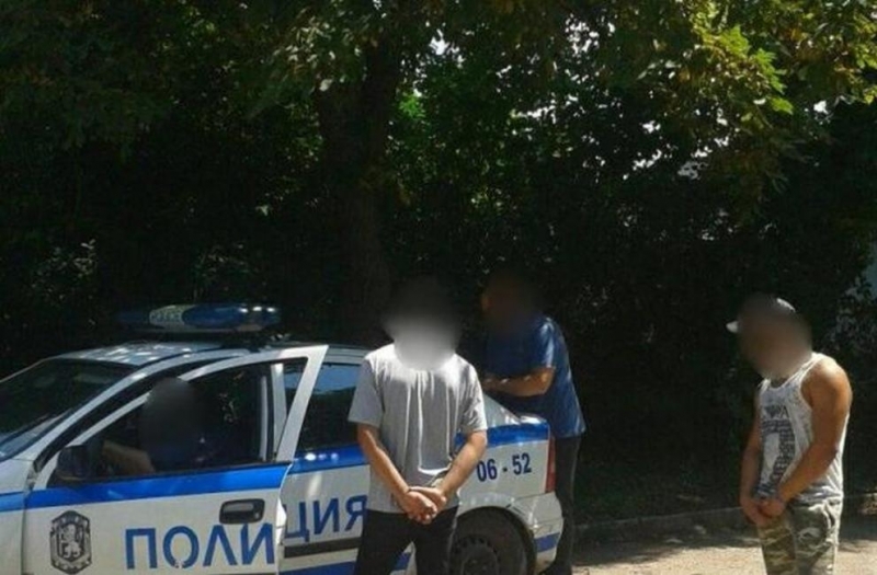 Днес в община Враца е получен сигнал за отсичане на