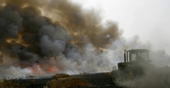 Над 10 пожари са гасили огнеборците в област Монтана само