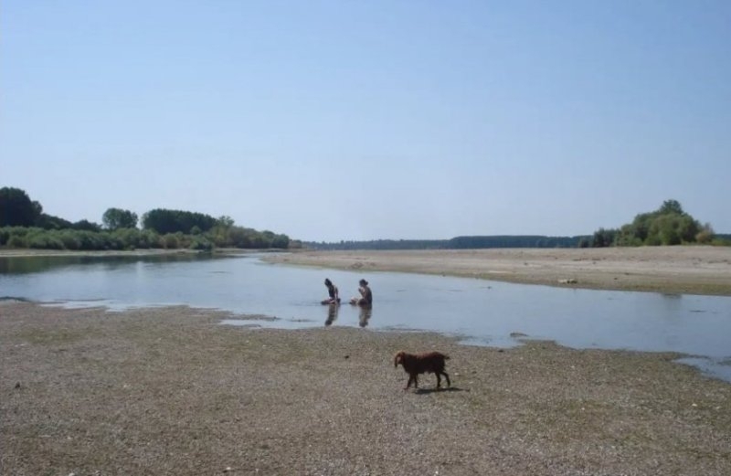 Критично пресъхналите участъци по река Дунав стават все повече и