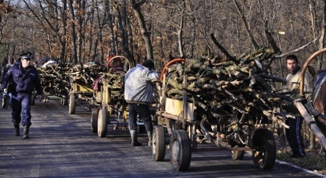 Вчера ченгета са иззели незаконно добита дървесина във Видинско съобщиха