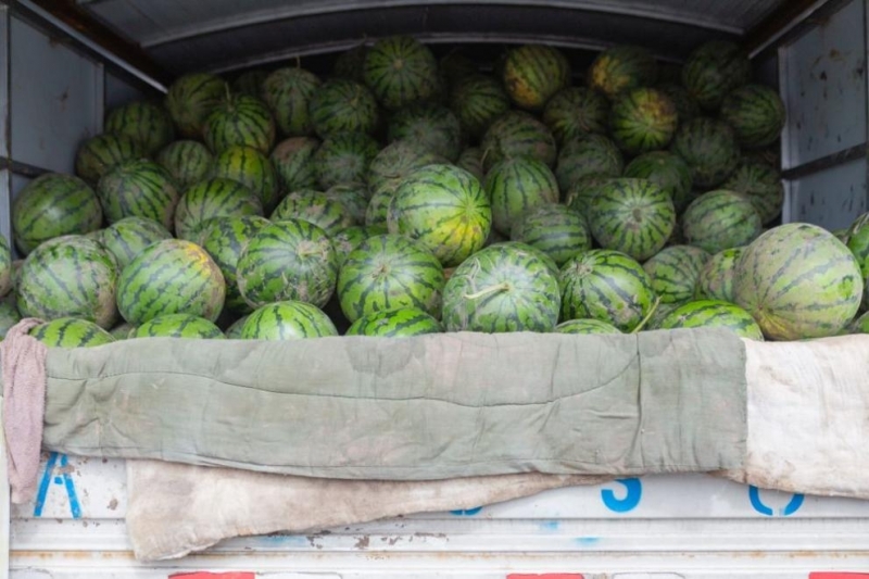 Контрабандни златни накити за над 144 хил лева откриха митническите служители на