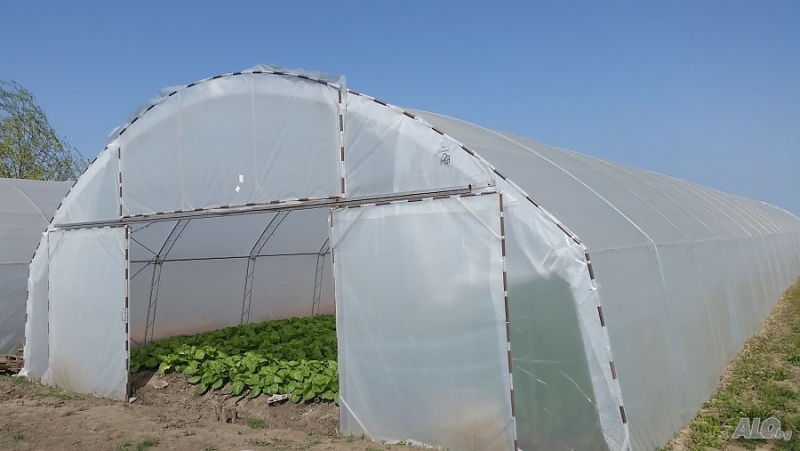 Управителният съвет на ДФ Земеделие разпредели 5 млн лв по