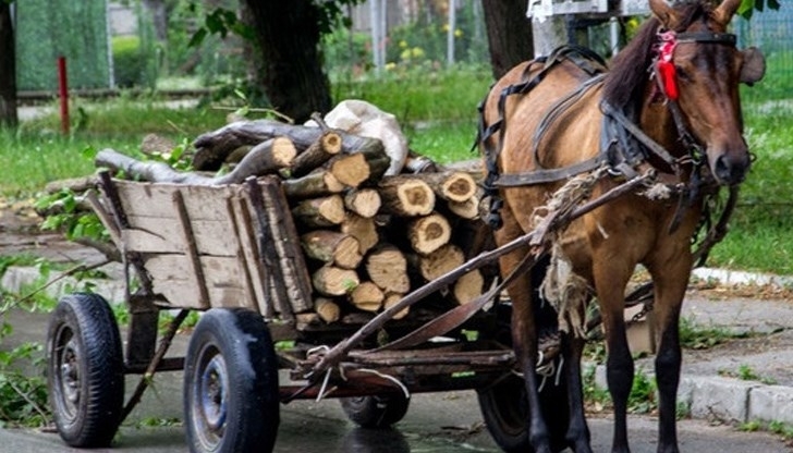Служители на реда засекли бракониери на дърва за огрев съобщиха