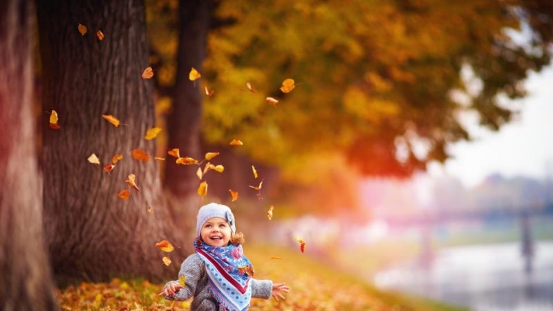 Днес преди обяд облачността ще е предимно значителна  но ще е почти без