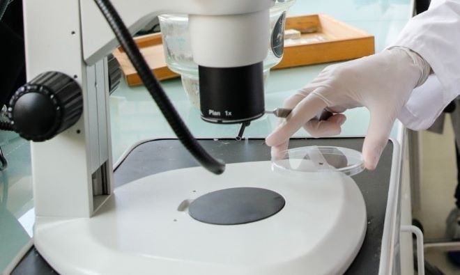 Австралийски учени в международен екип са направили пробив в откриването