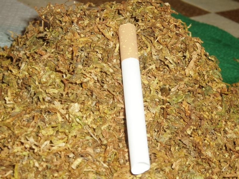Полицията е иззела нелегален тютюн от три къщи във Вълчедръм