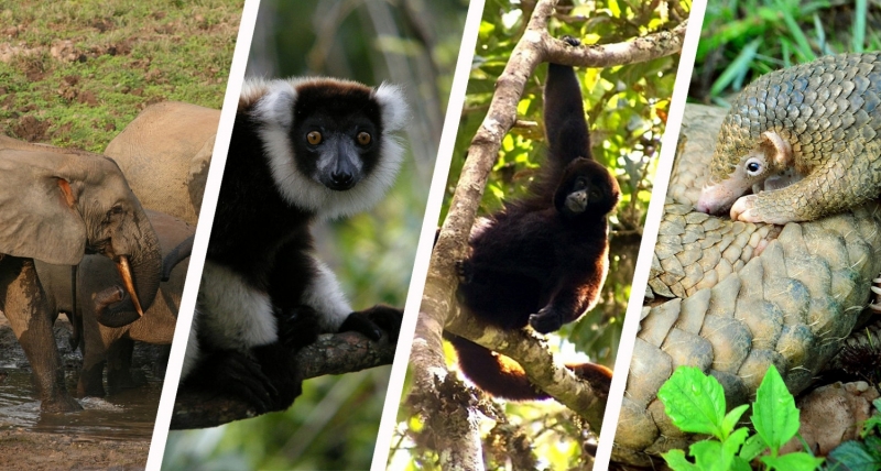 Тревожната статистика беше представена на Конференцията за опазването на биоразнообразието