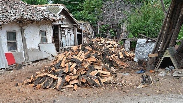 Полицията е открила незаконни дърва в селски двор във Видинско
