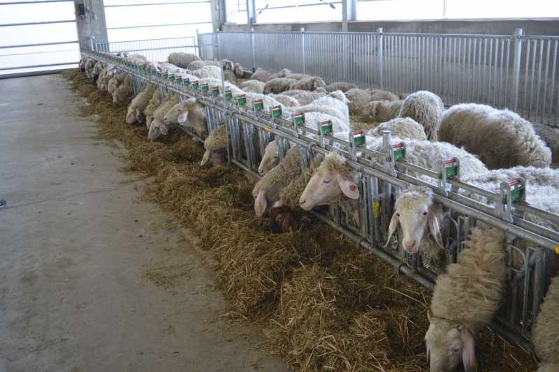 Със старта на активния селскостопански сезон Инспекцията по труда засилва