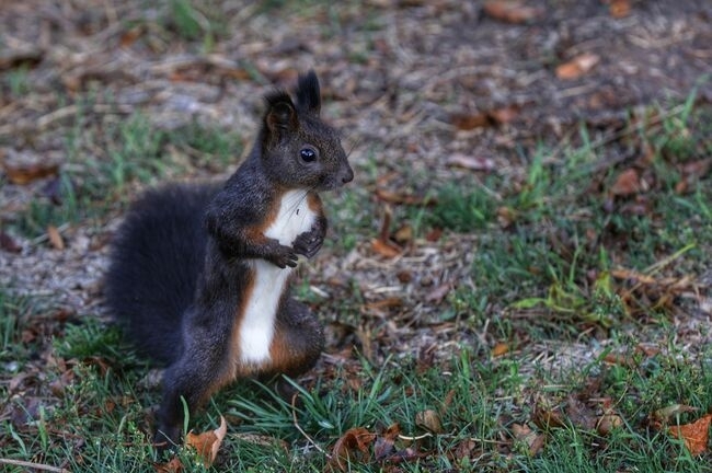 През следващото денонощие над по голямата част от страната облачността ще