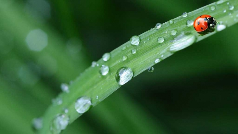 Почти цялата Светла седмица ще бъде белязана от преминаването над