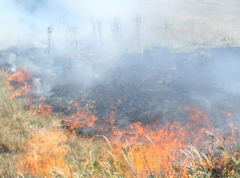 Пожар е изпепелил 40 бали сено и покривна конструкция във