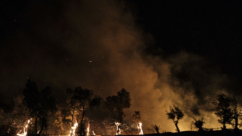 Пожар е избухнал днес в квартал Панорама на атинското крайбрежно