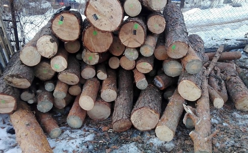 Незаконно добити дърва за огрев открили на 21 и 22