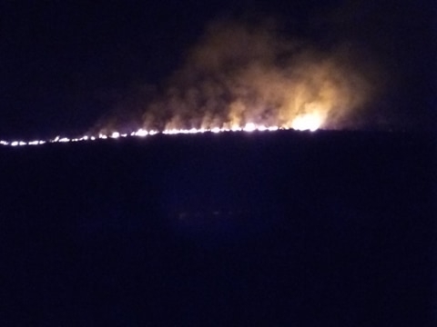 Голям бушува край врачанското село Чирен съобщиха очевидци в платформата