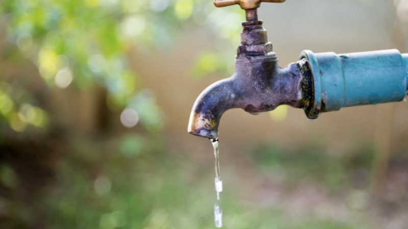 Регионалната здравна инспекция в Монтана установи наличие на тежък метал