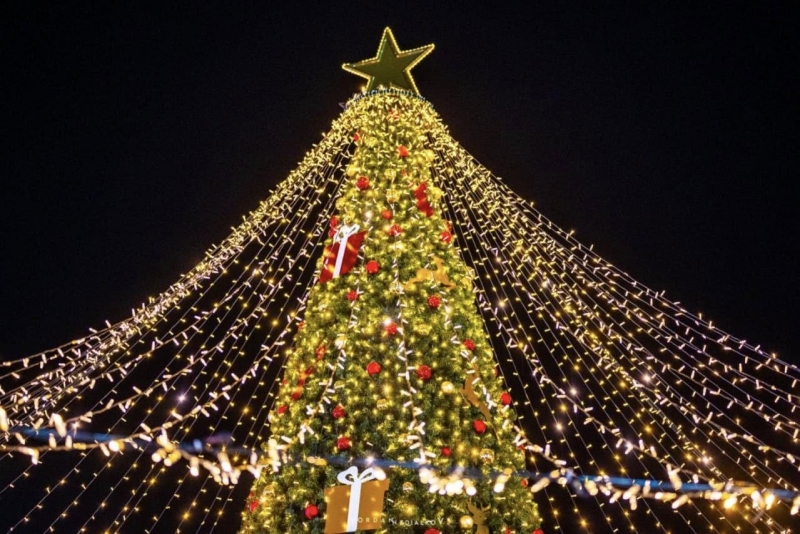 С тържествена програма и празнично шествие във Враца бяха запалени