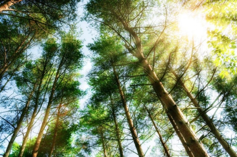 В петък над по голямата част от страната ще е предимно