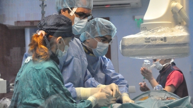 Бик прободе в корема работник от кравеферма в Монтанско съобщиха