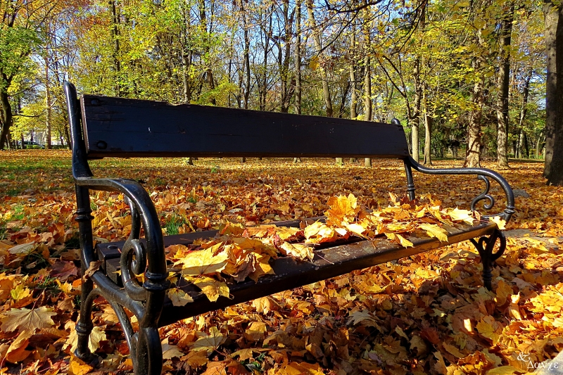 През страната ще премине слабо изразен студен фронт Днес от
