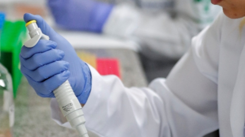 290 са новодиагностицираните с коронавирусна инфекция лица през изминалите 24