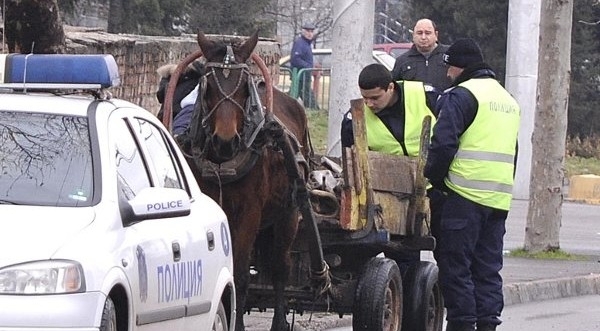 Полицията в Козлодуй е спряла каруца с незаконни дърва съобщиха