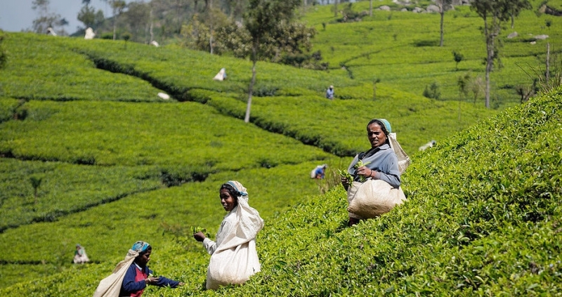 На днешния ден от 2005 година насам страните производителки на