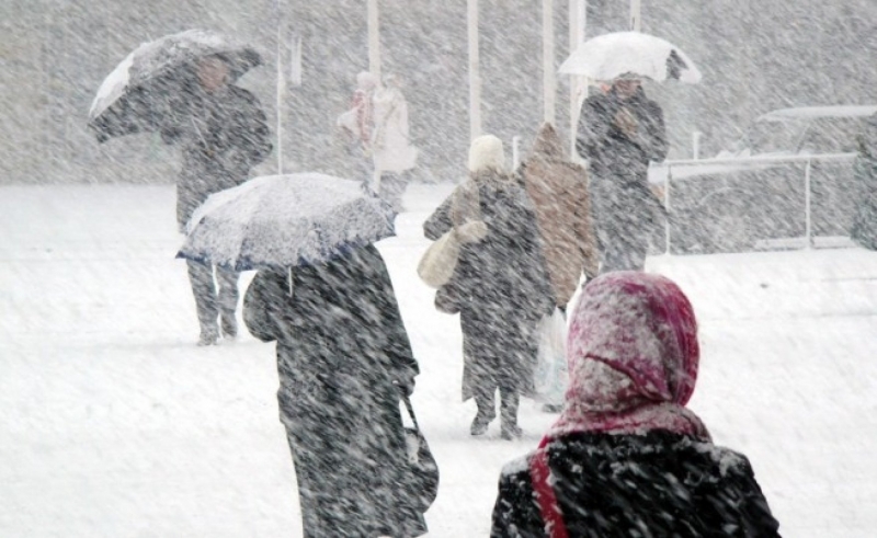 Шофьорите трябва да тръгват на път със зареден резервоар и