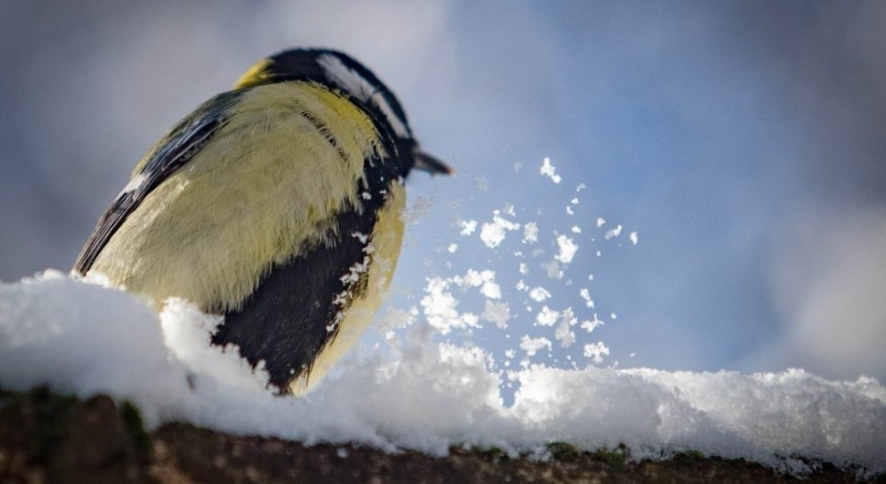 През нощта облачността ще е значителна на места в източните