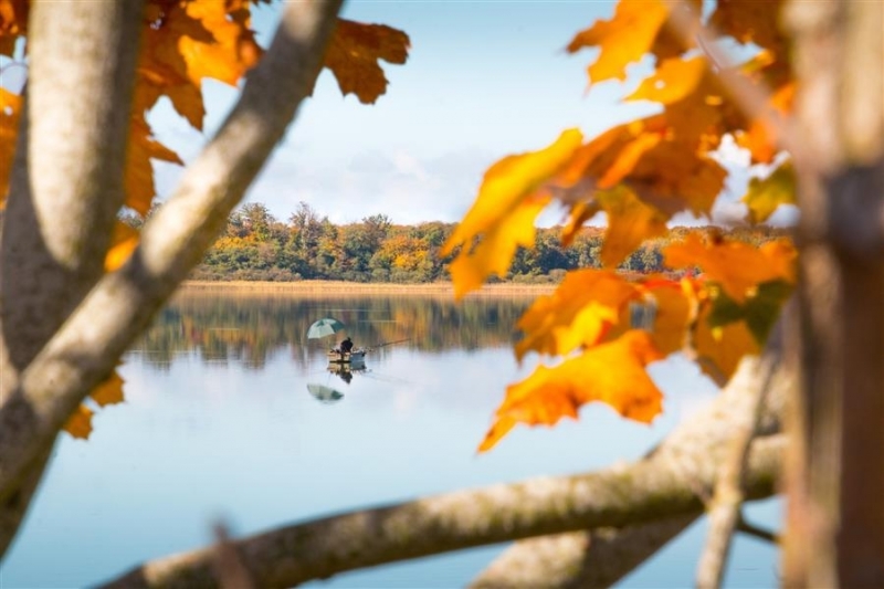 Атмосферното налягане слабо ще се понижи и ще се доближи