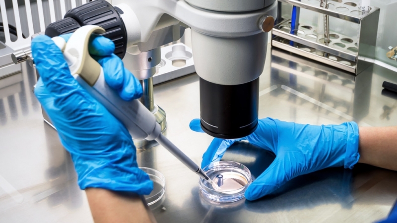 Ново проучване сочи че ракът може да бъде заразен предава