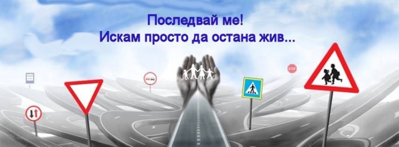 По повод Световния ден за възпоменание на жертвите от пътнотранспортни