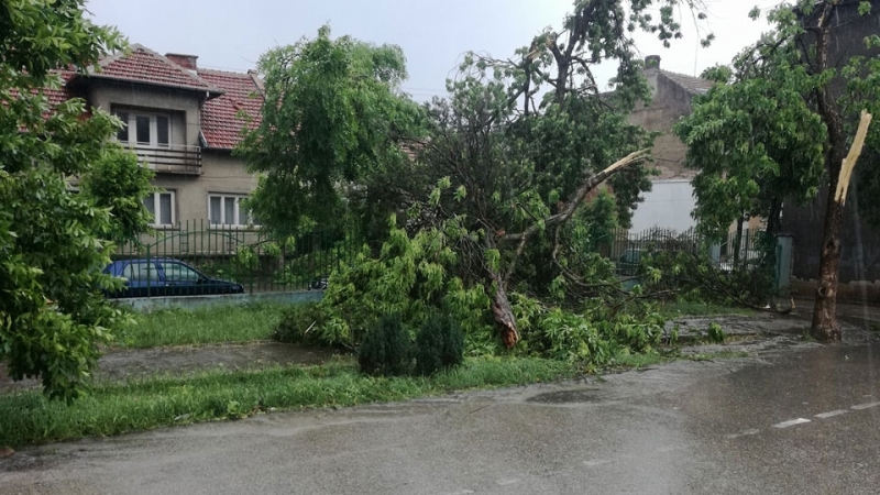 Късно снощи беше отстранена и последната авария по електропреносната мрежа