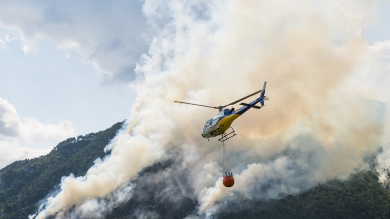 Мълния предизвика два пожара в околностите на Маджарово в Източните