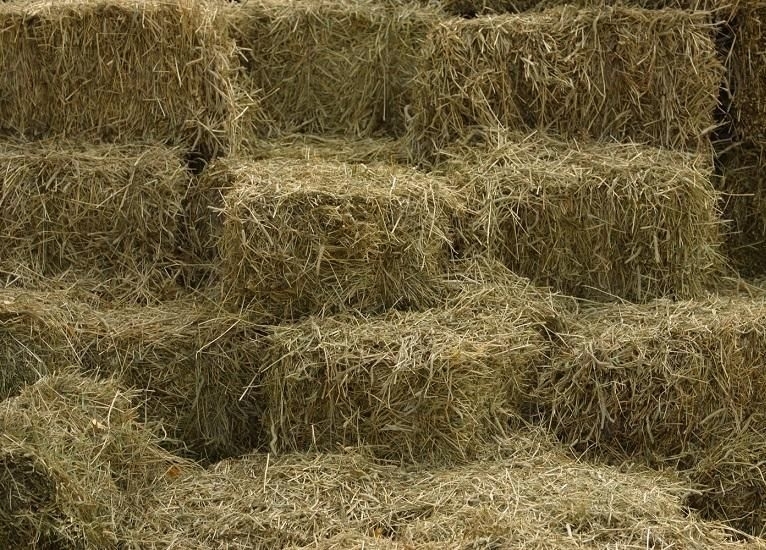 Вчера в полицията в Белоградчик е подаден сигнал за кражба