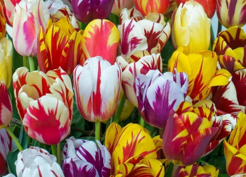 В петък ще бъде предимно слънчево Над Източна България от