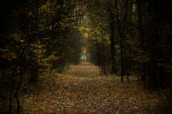 Времето се заоблачава, на места ще вали дъжд