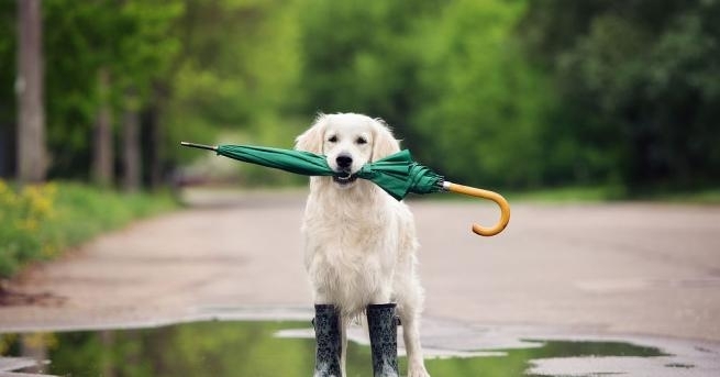 Времето ще остане нестабилно и през следващите дни и на