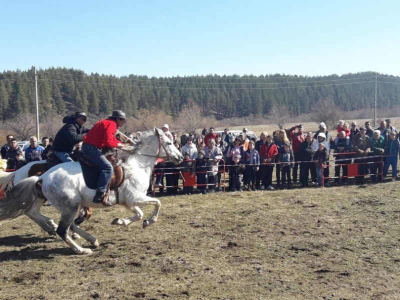 Конярите в България ще блокират жълтите павета и международни пътища