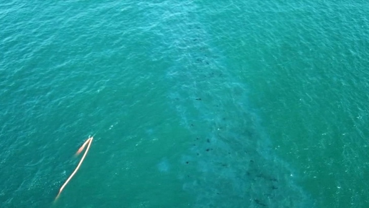 Над 2 4 млн лева ще бъдат отпуснати от Министерски съвет